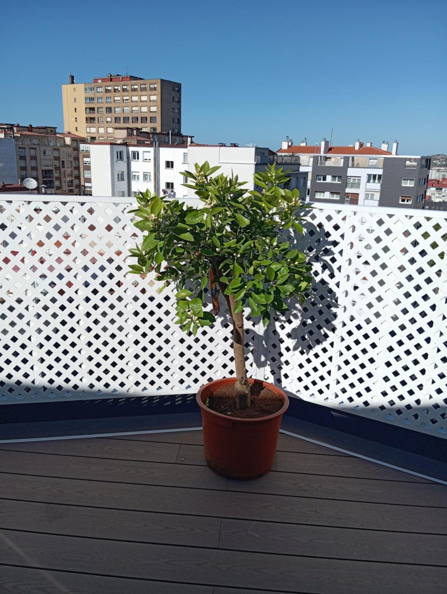 Appartement El Capricho La Terraza, Gran Terraza Con Vistas Y Parking Incluido *
